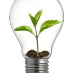 Sprout_Lightbulb