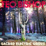 Teo Bishop - Sacred Electric Grove Cover