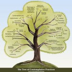 © The Center for Contemplative Mind in Society
Concept & design by Maia Duerr; illustration by Carrie Bergman