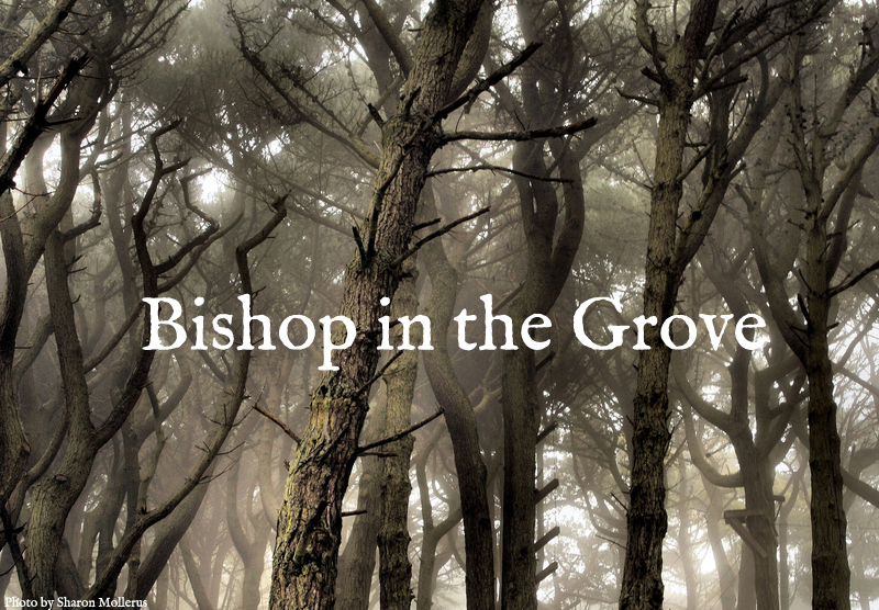 Bishop in the Grove